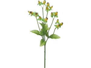 y񂹁zYDM  qyJ CgO[  tFCNt[c   t[AWgޗ