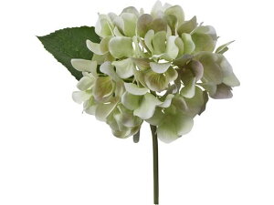 y񂹁zYDM  nChWA O[zCg CeA ͂Ȃ ϗtA ԍ t[AWg tFCNt[ Xܑ ԍ   t[AWg