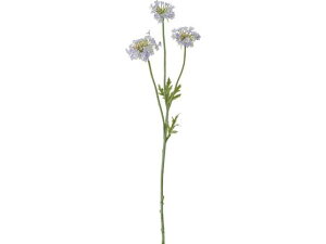 y񂹁zYDM  [Xt[ x_[ CeA ͂Ȃ ϗtA ԍ t[AWg tFCNt[ Xܑ ԍ   t[AWgޗ