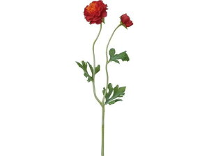 y񂹁zYDM  tbtB[iLX bh CeA ͂Ȃ ϗtA ԍ t[AWg tFCNt[ Xܑ ԍ   t[AWg