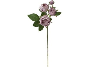 y񂹁zYDM  ~tB[[YXv[ Cg[u CeA ͂Ȃ ϗtA ԍ t[AWg tFCNt[ Xܑ o ԍ   t[A