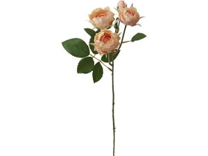 y񂹁zYDM  ~tB[[YXv[ T[ CeA ͂Ȃ ԍ t[AWg tFCNt[ Xܑ o ԍ   t[AWg