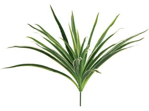 y񂹁z  IdubV 22 WH GR CeA ͂Ȃ ϗtA ԍ t[AWg tFCNO[ Xܑ t O[   t[A