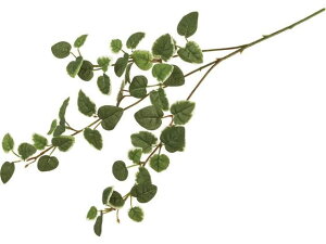 y񂹁z  v~Xv[ GREEN CeA ͂Ȃ ϗtA ԍ t[AWg tFCNO[ Xܑ t O[   t[AWg