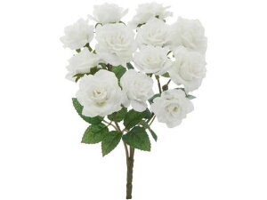 y񂹁zYDM  ~j[YubV zCg CeA ͂Ȃ ϗtA ԍ t[AWg tFCNt[ Xܑ o ԍ   t[AWg