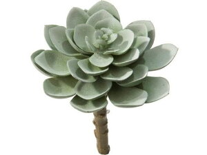 y񂹁zYDM  GPxAsbN O[ CeA ͂Ȃ ϗtA ԍ t[AWg tFCNt[ Xܑ t O[   t[AW