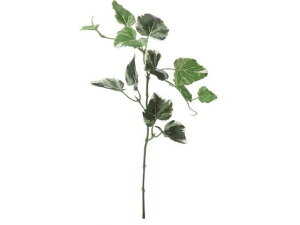 y񂹁zYDM  CObVACr[V[g O[ t O[   t[AWgޗ