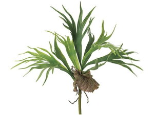 y񂹁z  rJNV_ GREEN CeA ͂Ȃ ϗtA ԍ t[AWg tFCNO[ Xܑ t O[   t[AWgޗ