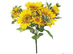 y񂹁z  tbVTt[ubV YELLOW CeA ͂Ȃ ϗtA ԍ t[AWg tFCNt[ Xܑ ԍ   t[AW