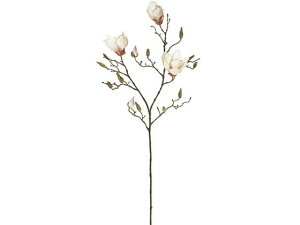 y񂹁z  }OmAZVA 48 CR PK CeA ͂Ȃ ϗtA ԍ t[AWg tFCNt[ Xܑ ԍ   t[AWgޗ