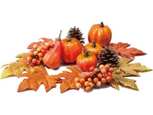 y񂹁zYDM  I[^~bNXx[pbN CeA ͂Ȃ ԍ t[AWg Xܑ  tFCNt[c   t[AWgޗ