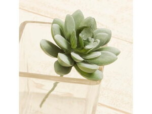 y񂹁zYDM  ^c^JN^XsbN O[ CeA ͂Ȃ ϗtA ԍ t[AWg tFCNt[ Xܑ t O[   t[AW