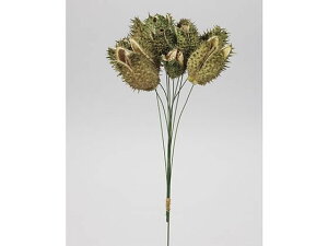 y񂹁z hCt[ CKiXC[t CeA ͂Ȃ ϗtA ԍ t[AWg tFCNt[ tFCNO[ Xܑ  hCt