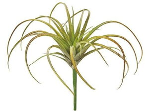 y񂹁z  GAvc 25 PK GR CeA ͂Ȃ ϗtA ԍ t[AWg tFCNO[ Xܑ t O[   t[AW