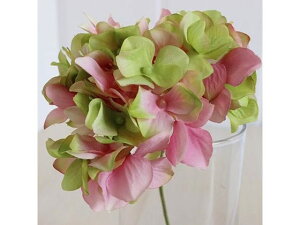 y񂹁z  AXnChWA 152 PK GR 151 CeA ͂Ȃ ϗtA ԍ t[AWg tFCNt[ Xܑ  ԍ   t[A