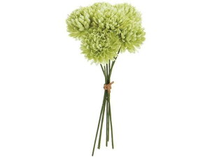 y񂹁z  xG}sbN 123 SAGE 6{ CeA ͂Ȃ ϗtA ԍ t[AWg tFCNt[ Xܑ ԍ   t[AWg