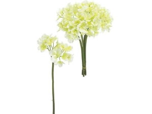 y񂹁z  TnChWA 6{ N[O[ CeA ͂Ȃ ϗtA ԍ t[AWg tFCNt[ Xܑ ԍ   t[A