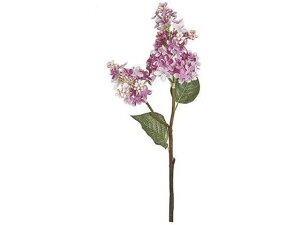 y񂹁z  tACbN CbN CeA ͂Ȃ ϗtA ԍ t[AWg tFCNt[ Xܑ ԍ   t[AWg