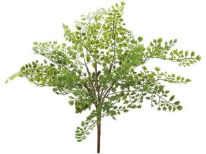 y񂹁zYDM  AWA^ubV O[ CeA ͂Ȃ ϗtA ԍ t[AWg tFCNO[ Xܑ t O[   t[AW