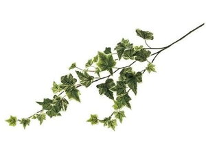 y񂹁z  VFX^ACr[oC 23 LT.GR 0 CeA ͂Ȃ ϗtA ԍ t[AWg tFCNO[ Xܑ ԗt t O[   