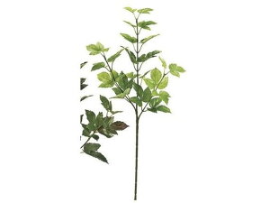 y񂹁z  [vACr[Xv[ LT.GR CeA ͂Ȃ ϗtA ԍ t[AWg tFCNO[ Xܑ ԗt t O[   t