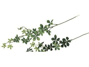 y񂹁z  VK[oC CgO[ CeA ͂Ȃ ϗtA ԍ t[AWg tFCNO[ Xܑ ԗt t O[   t