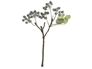 y񂹁z  X[Nx[V[g BLUE CeA ͂Ȃ ϗtA ԍ t[AWg Xܑ ԗt  tFCNt[c   t[AW