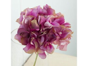 y񂹁z  AXnChWA I[Lbh CeA ͂Ȃ ϗtA ԍ t[AWg tFCNt[ Xܑ  ԍ   t[A