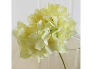 y񂹁z  AXnChWA CG[ CeA ͂Ȃ ϗtA ԍ t[AWg tFCNt[ Xܑ  ԍ   t[A