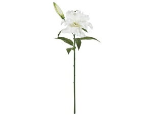 y񂹁z  [Y[ S zCg CeA ͂Ȃ ϗtA ԍ t[AWg tFCNt[ Xܑ  ԍ   t[AWg