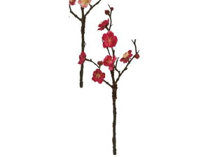 y񂹁z  t~ S 16 BEAUTY CeA ͂Ȃ ϗtA ԍ t[AWg tFCNt[ tFCNO[ Xܑ ԍ   t[AW