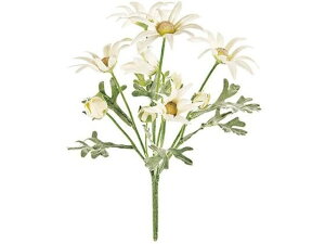 y񂹁z  tlubV WHITE CeA ͂Ȃ ϗtA ԍ t[AWg tFCNt[ Xܑ ԍ   t[AWgޗ