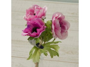 y񂹁zYDM  Alloh x_[