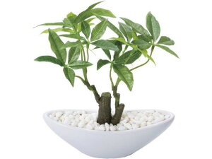 y񂹁zYDM  pL|bg(S) CeA ͂Ȃ ϗtA ԍ t[AWg tFCNO[ Xܑ t O[   t[AWgޗ