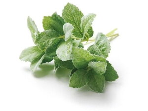 y񂹁zYDM  v~g O[ CeA ͂Ȃ ϗtA ԍ t[AWg tFCNO[ Xܑ t O[   t[AWgޗ