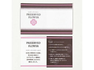 y񂹁z vU[uhJ[h 50 A[eBtBVt[ CeA  ԍ t[AWg Xܑ