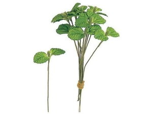 y񂹁z  ~gsbNGREEN 12{ CeA ͂Ȃ ϗtA ԍ t[AWg tFCNt[ Xܑ t O[   t[AWg