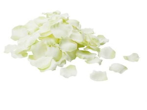 y񂹁zYDM  [Yy^ CeA ͂Ȃ ϗtA ԍ t[AWg tFCNt[ Xܑ o ԍ   t[AWgޗ