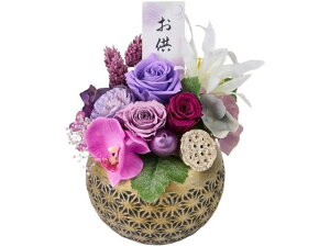 y񂹁z vU[uht[ Tt(̂) 17 p[v CeA ͂Ȃ ԍ t[AWg tFCNt[ Xܑ   d t[Mtg 