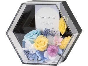 y񂹁z vU[uht[ Zp(΂) CeA ͂Ȃ ԍ t[AWg tFCNt[  Xܑ   d t[Mtg  