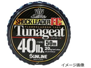 y񂹁zTC ciM[gFC 50m 30LB 8 NA VbN[_[ WMO C A[p ނ AEghA