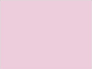 y񂹁zkzR[|[V F㎿  B4 Y  1000 B4 sNn  J[Rs[p