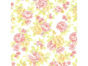 y񂹁zwCR[  S GvX[Y 100 002353702