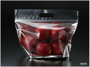 y񂹁zpbNX^C `bNt X^h M  500 XgbNpobO ۑ ۊ Lb` Օi e[u