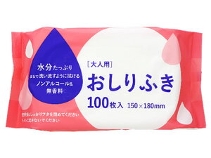 大和物産 大人用おしりふき 100枚入 81088 おしりふき 排泄ケア 介護 介助