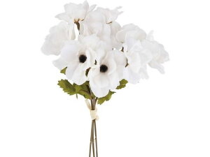 y񂹁zYDM Alloh N[ FB -2574-CR