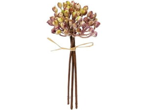 y񂹁zYDM ~jNX^[x[sbN O[p[v  tFCNt[c   t[AWgޗ