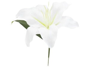 y񂹁zH| V22015 JTuJ[ 001 zCg/66-817529-0 ԍ   t[AWgޗ