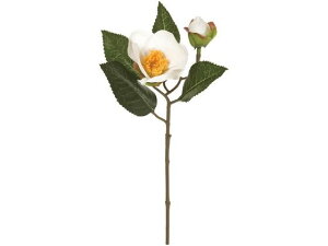 y񂹁z t #1 WHITE FJ005168-001