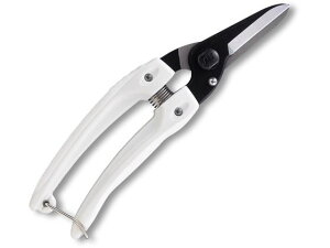 y񂹁zAX t@~[ubN 140B nT~ _ _Ǝ |pi Ɨpi H